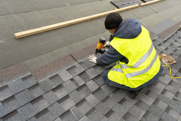 Best Sealant for Roof  in Surrey, ND