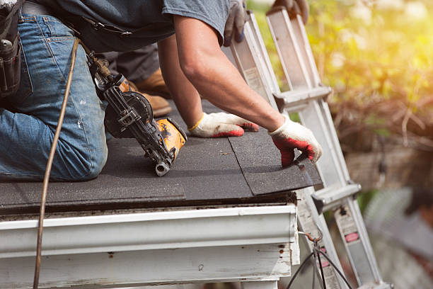 Best New Roof Installation  in Surrey, ND