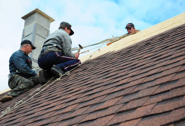 Best Tile Roofing Contractor  in Surrey, ND