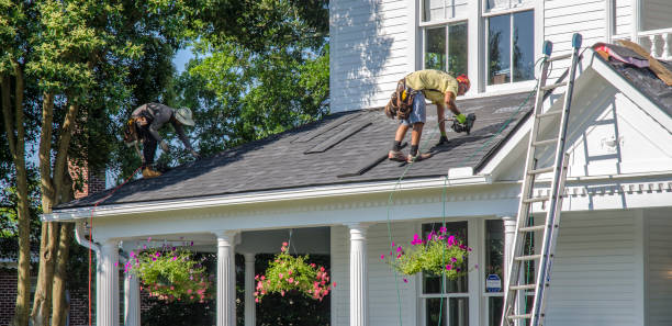 Best New Roof Installation  in Surrey, ND